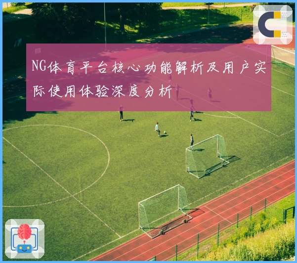 NG体育平台核心功能解析及用户实际使用体验深度分析